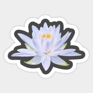 My Ghost - waterlily Sticker